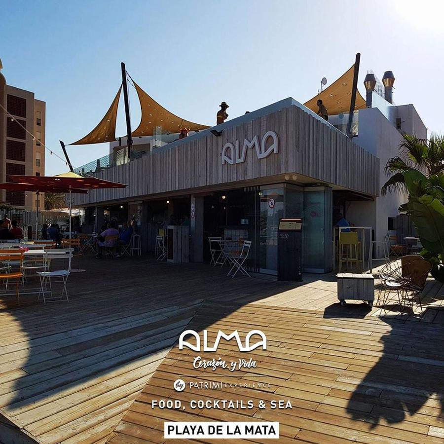 شقة Torrevieja Experience Playa Los Locos المظهر الخارجي الصورة